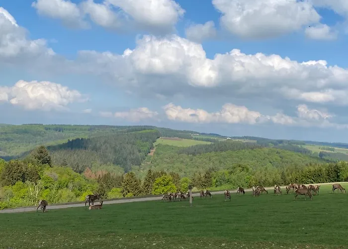 Hébergement de vacances Le Cap Rochehaut