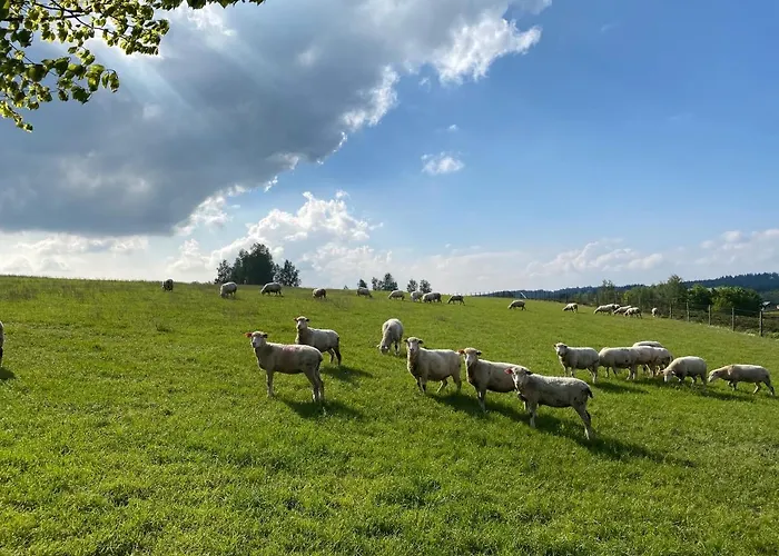 Hébergement de vacances Le Cap